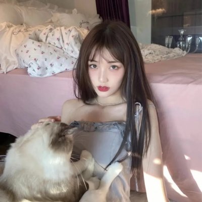 企鹅之岛:福克兰